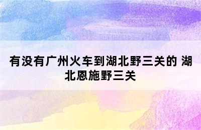 有没有广州火车到湖北野三关的 湖北恩施野三关